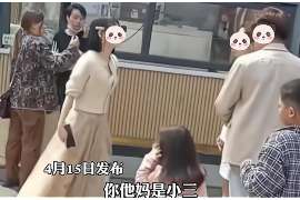 麦盖提侦探公司我成了别人眼中的大龄剩女